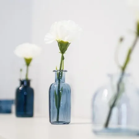 Apartment Superior Starowiejska With Parking By Renters