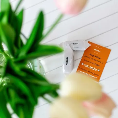 Superior Starowiejska With Parking By Renters Apartment