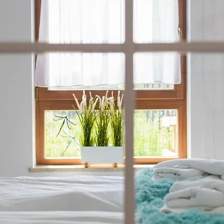 Apartment Superior Starowiejska With Parking By Renters