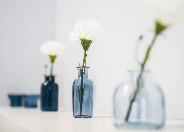 Appartement Superior Starowiejska With Parking By Renters